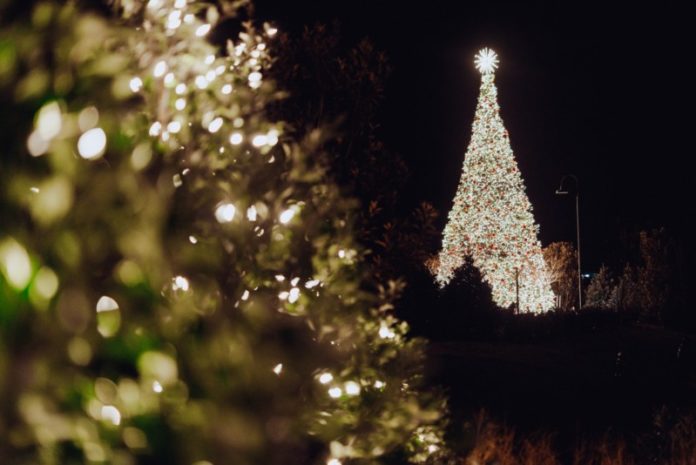 Westhaven Tree Lighting