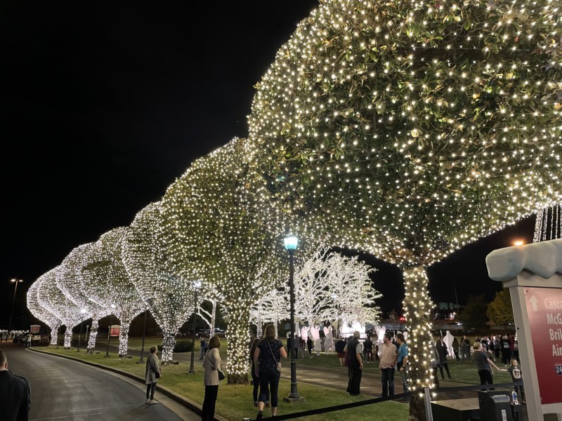 Travel + Leisure Says This Spot Has the Best Christmas Lights Display