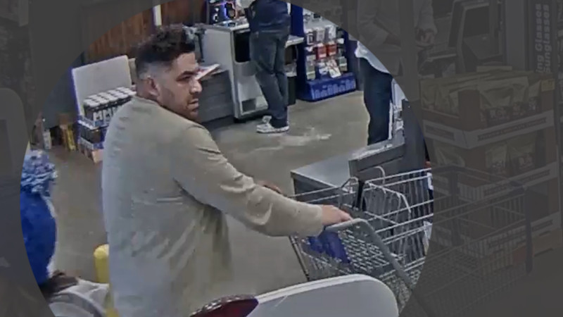 lowes shoplifting suspect