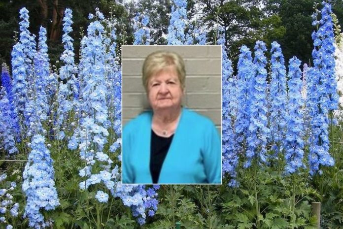 Linda-Jo-Climer-Shelton