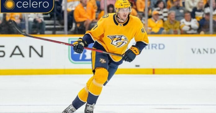 Photo from Nashville Predators