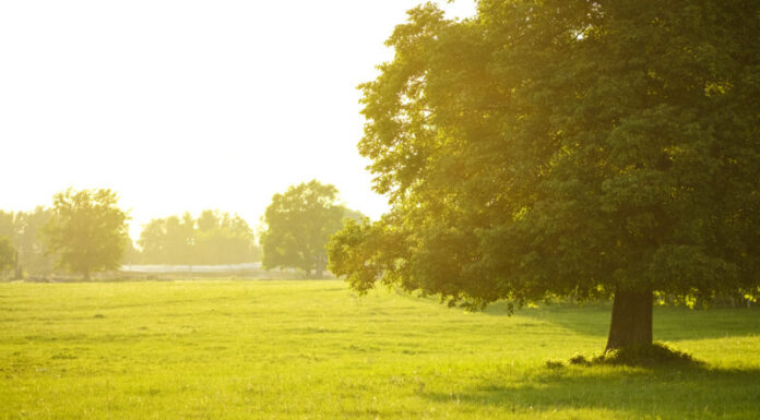 WEATHER 5-23-2023 A Couple of Pop-Ups