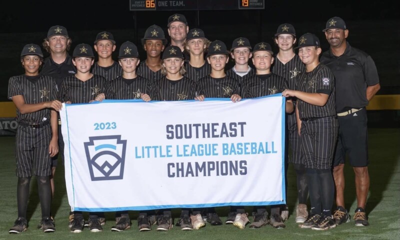 Little League: Mill Valley falls in Section 1 title game