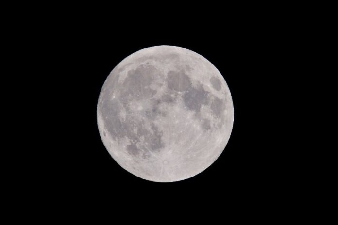 Snow Full Moon Hike Happening at Cedars of Lebanon State Park