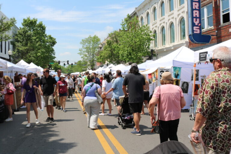 PHOTOS 2024 Franklin Main Street Festival Williamson Source