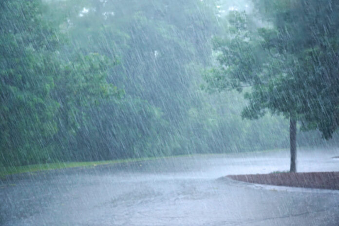 Heavy,Rain,And,Tree,In,The,Parking,Lot