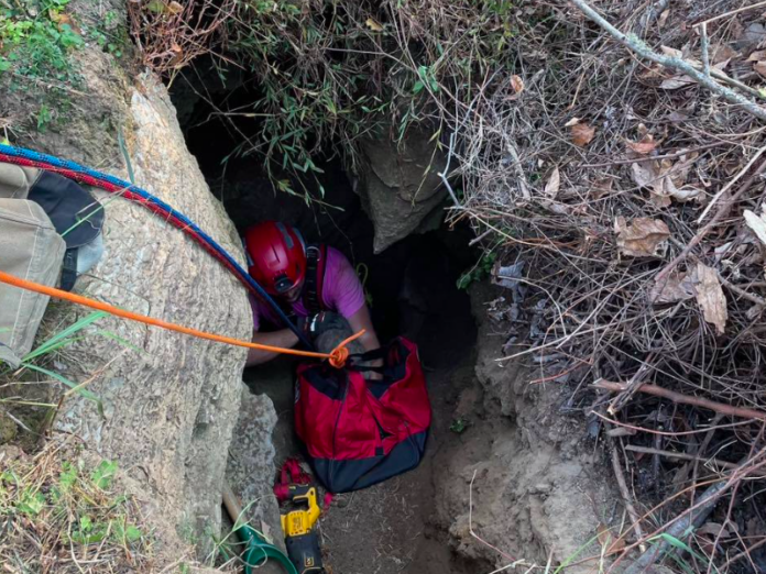Lebanon-Fire-Department-Rescues-Dog-Trapped-in-Sinkhole-for-Three-Days