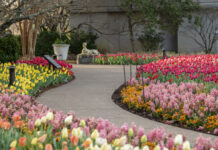 Williamson Weekend: 5 Happenings This Weekend