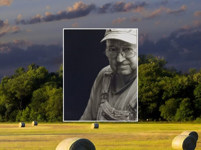 Dan German Holt