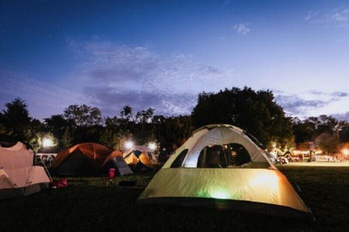 Photo from https://www.nashvillezoo.org