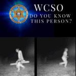 Stolen Chainsaw Case Under Investigation in Williamson County