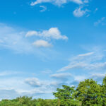 12/10/25: Clear Skies and Mild, High 54, Wind Up to 15.5 mph