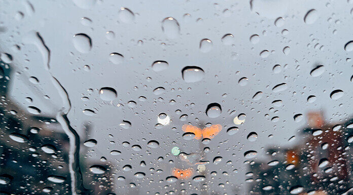 2/3/26: Light Drizzle and 48°F, Wind 6.7 mph, Brief Moderate Rain Earlier