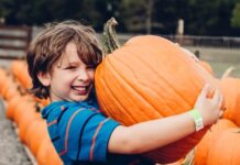 Williamson Weekend: 5 Happenings This Weekend