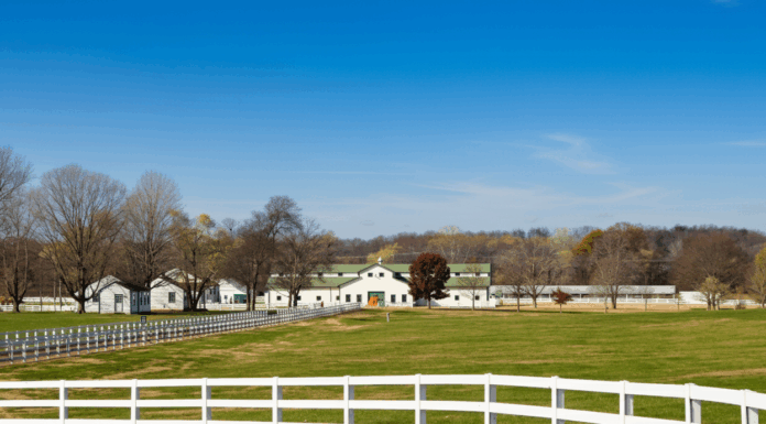 4/12/26: Clear Skies and Warm at 83°F in Williamson County