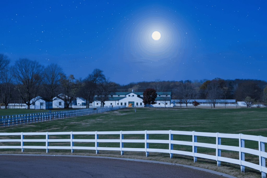 1/18/26: Clear Evening in Williamson County, Cools to 29°F