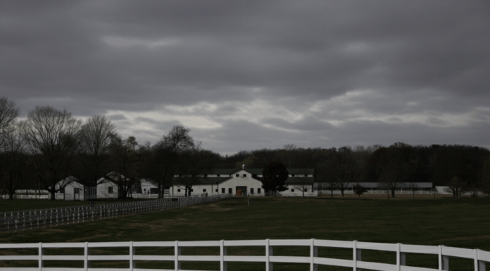 4/8/26: Overcast Evening with a Cool 62°F, Winds at 7 mph
