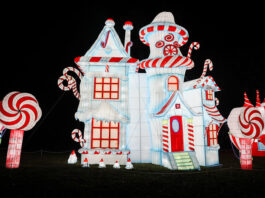 12 Family-Friendly Black Friday Events in Middle Tennessee 2025