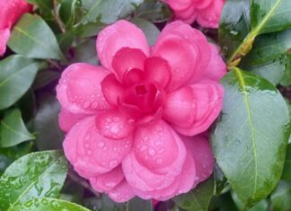 Photo of the Day: November 11, 2025