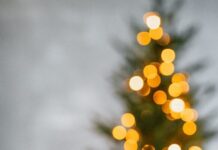 New Nolensville Community, Fairington, to Host Christmas Tree Lighting