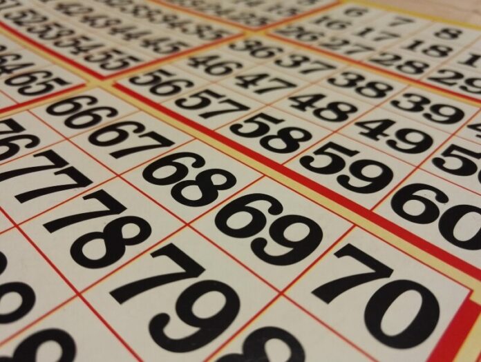 bingo card stock photo