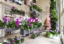 Cheekwood Announces Winter Programming with Orchid Display, Art Exhibition, and Afternoon Teas