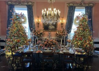 Photo of the Day: December 12, 2025