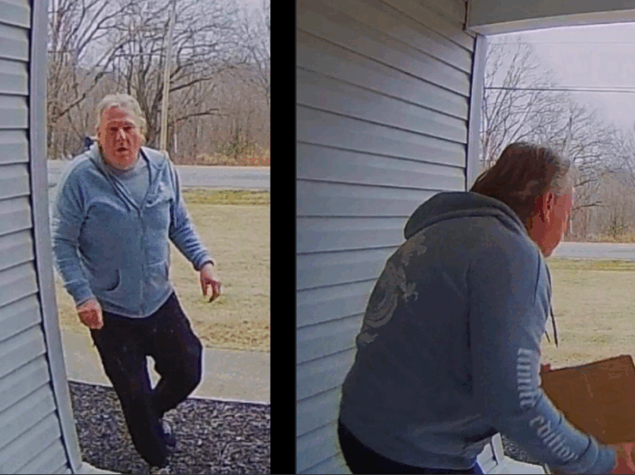 Holiday-Package-Thief