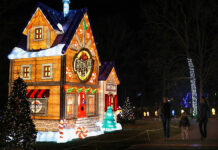 Don’t Miss Zoolumination, the Country’s Largest Lantern Festival