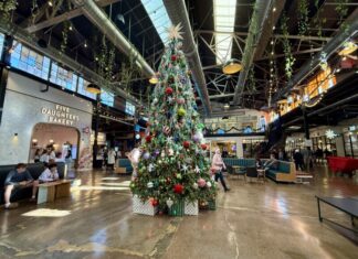 Photo of the Day: December 21, 2025