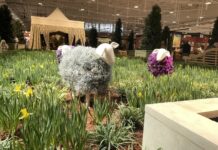 Williamson Weekend: 5 Happenings This Weekend