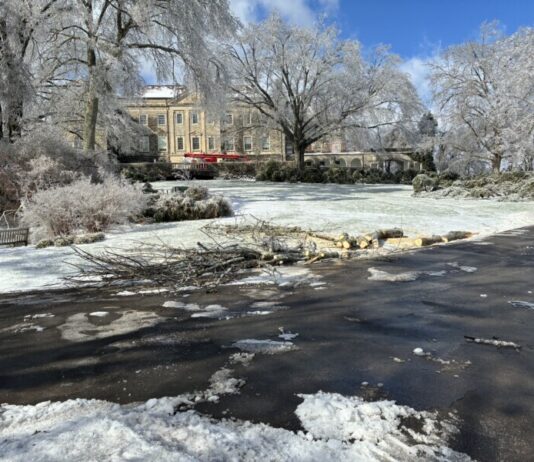 Cheekwood to Remain Closed After Winter Storm