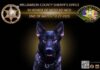 Williamson County Sheriff’s Office Mourns Loss of K9 Nico