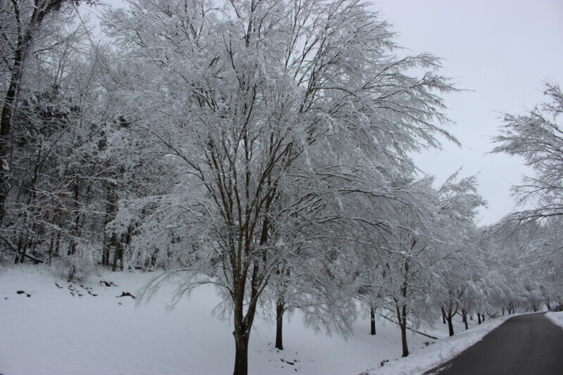 Better Business Bureau Encourages Businesses and Consumers to Prepare Ahead of This Weekend’s Snowstorm