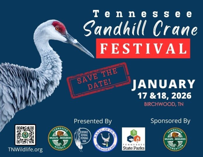 tennessee-sandhill-crane-festival