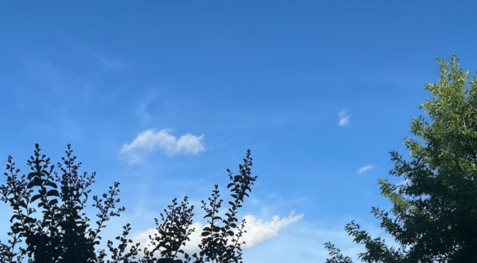 4/15/26: Clear Skies Today with a High of 84 and Winds Up to 14 MPH; Overcast Tonight with a Low of 67