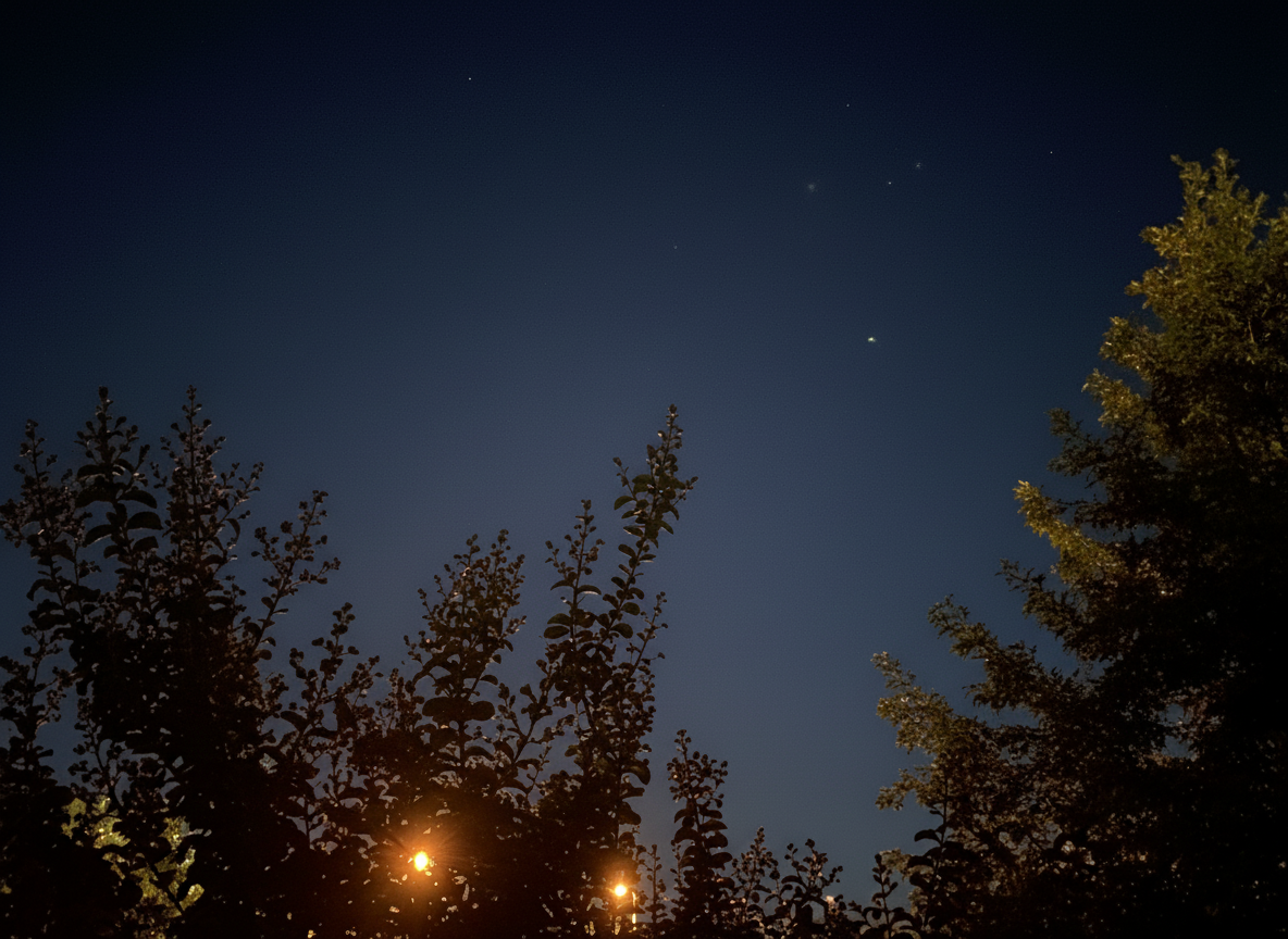 1/15/26: Clear Skies and Chilly Evening at 29°F in Williamson County