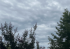 6/12/26: Overcast with Moderate Rain Expected; High 81, Low 71; Wind 11 mph, 75% Precip Chance This Afternoon