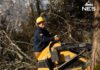NES Adopts New Approach To Tree Trimming Following Winter Storm Fern