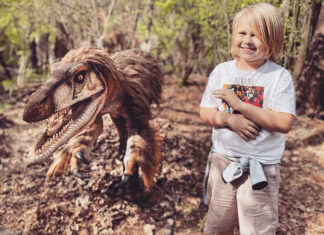 Photo of the Day: February 15, 2026