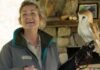 Discover the Thrills of Nature at the Wild About Raptors Event at Owl’s Hill Nature Sanctuary Wild-About-Raptors