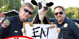 Franklin Police to Host Coffee With a Cop Next Week