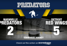 Nashville Predators Fall to Detroit Red Wings 4-2