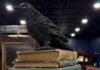 Brentwood’s ‘Boozy Bookstore’ The Raven Sets Opening Date The Raven