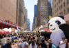 Things to Know About Panda Fest 2026
