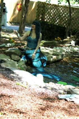 tennessee renaissance festival 2026