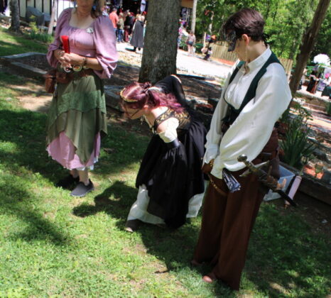 tennessee renaissance festival 2026