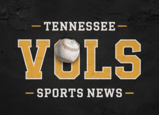 Tennessee Softball Falls in National Semifinals