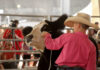 Williamson County Fair Now Accepting Registration for Competitive Events williamson county fair (2)