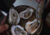 Celebrate Labor Day with an Oyster Roast & Seafood Boil at Southall Oyster-Roast